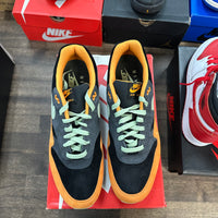 Nike Air Max 1 PRM Duck Honey Dew (USED, Replacement Box)