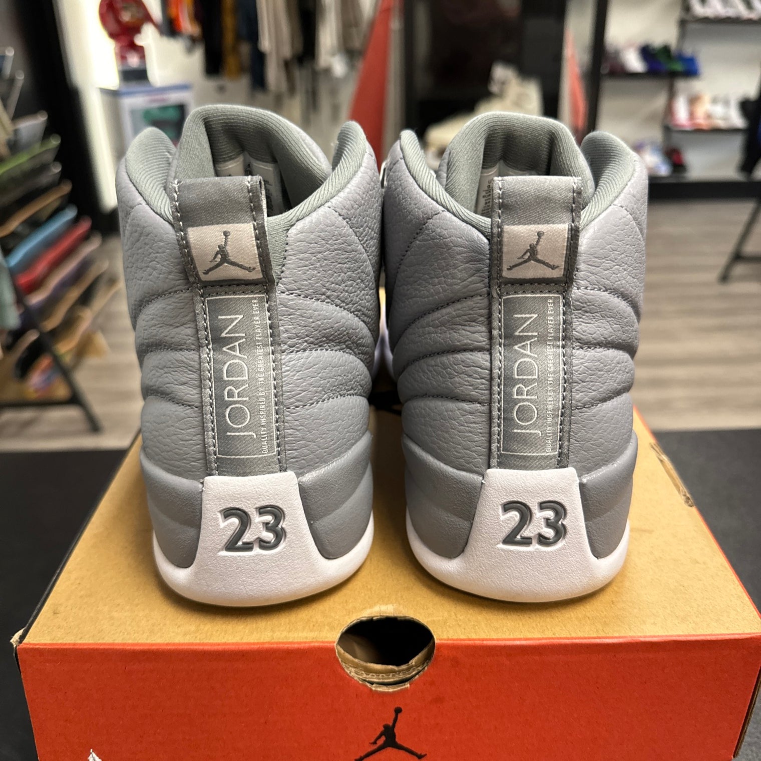 Stealth Jordan 12 (USED)