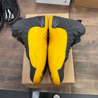 University Gold Jordan 12 Retro (USED, No Box)