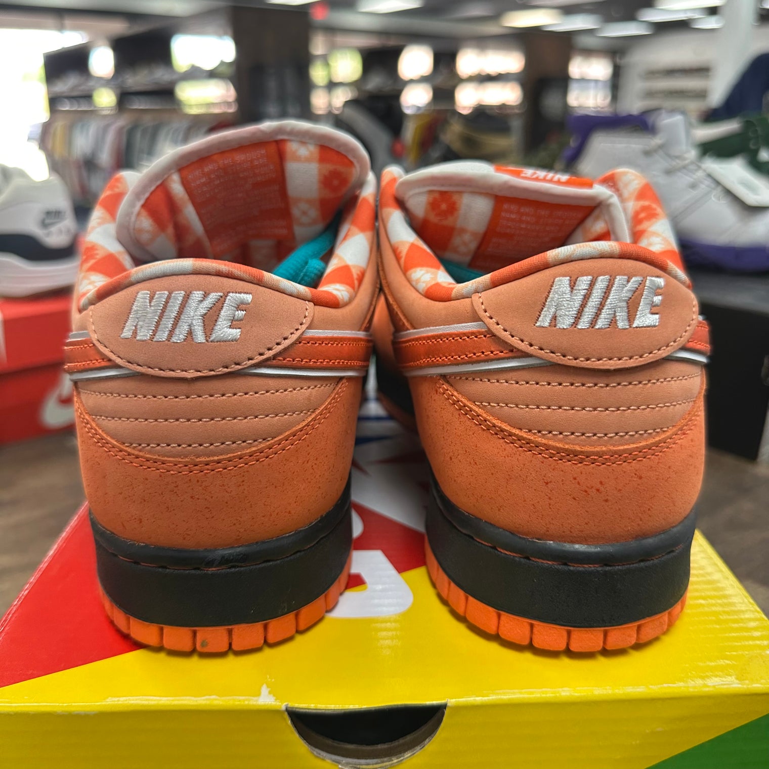 Orange Lobster SB Dunk Low (USED)
