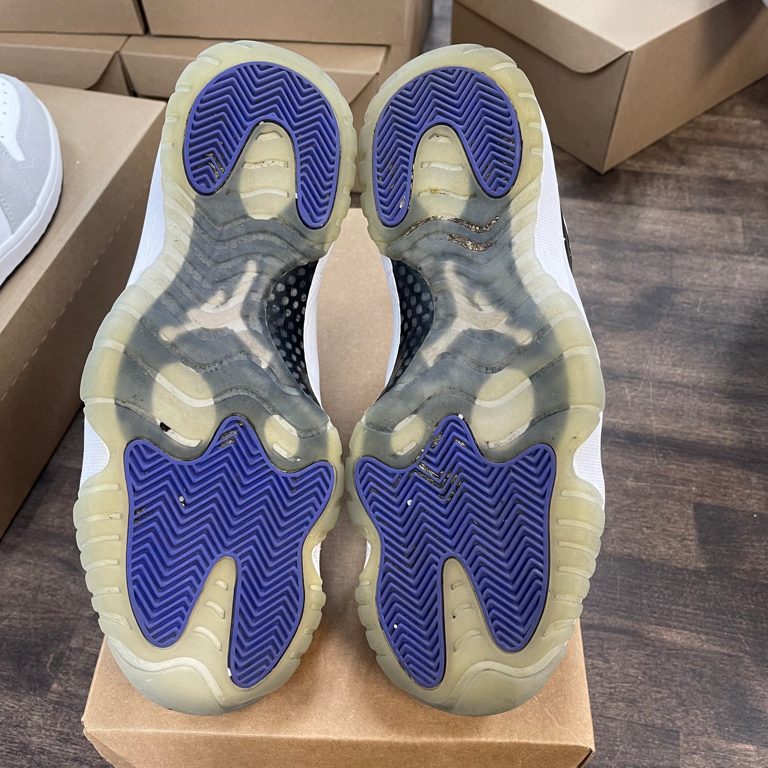 Concord Jordan 11 (USED,No Box)