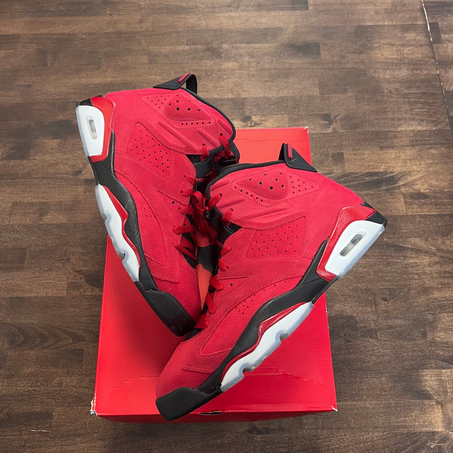 Toro Bravo Jordan 6 (USED)