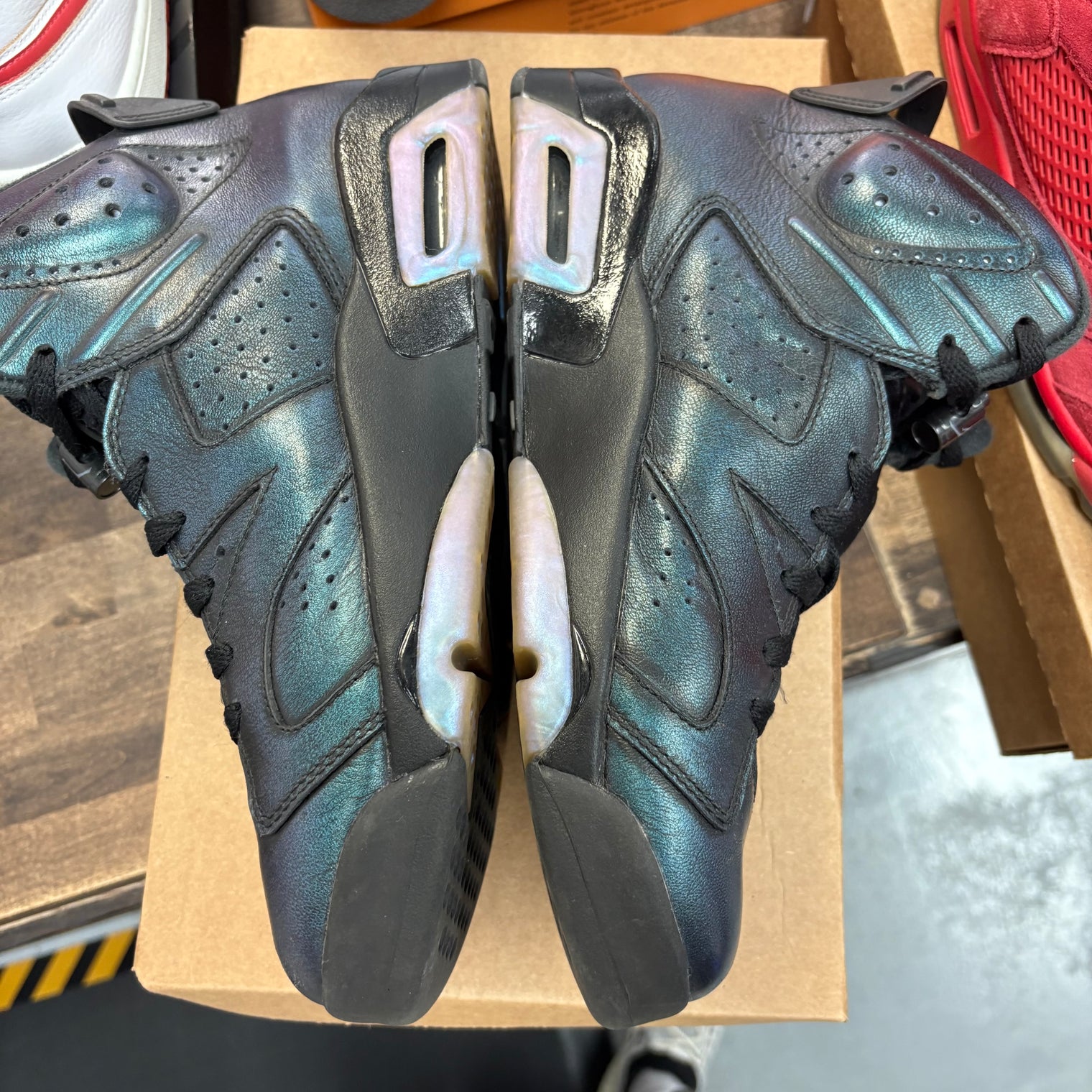 Chameleon Jordan 6 Retro (USED, No Box)