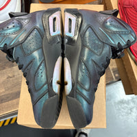 Chameleon Jordan 6 Retro (USED, No Box)