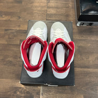 Alternate Hare Jordan 6 (USED)