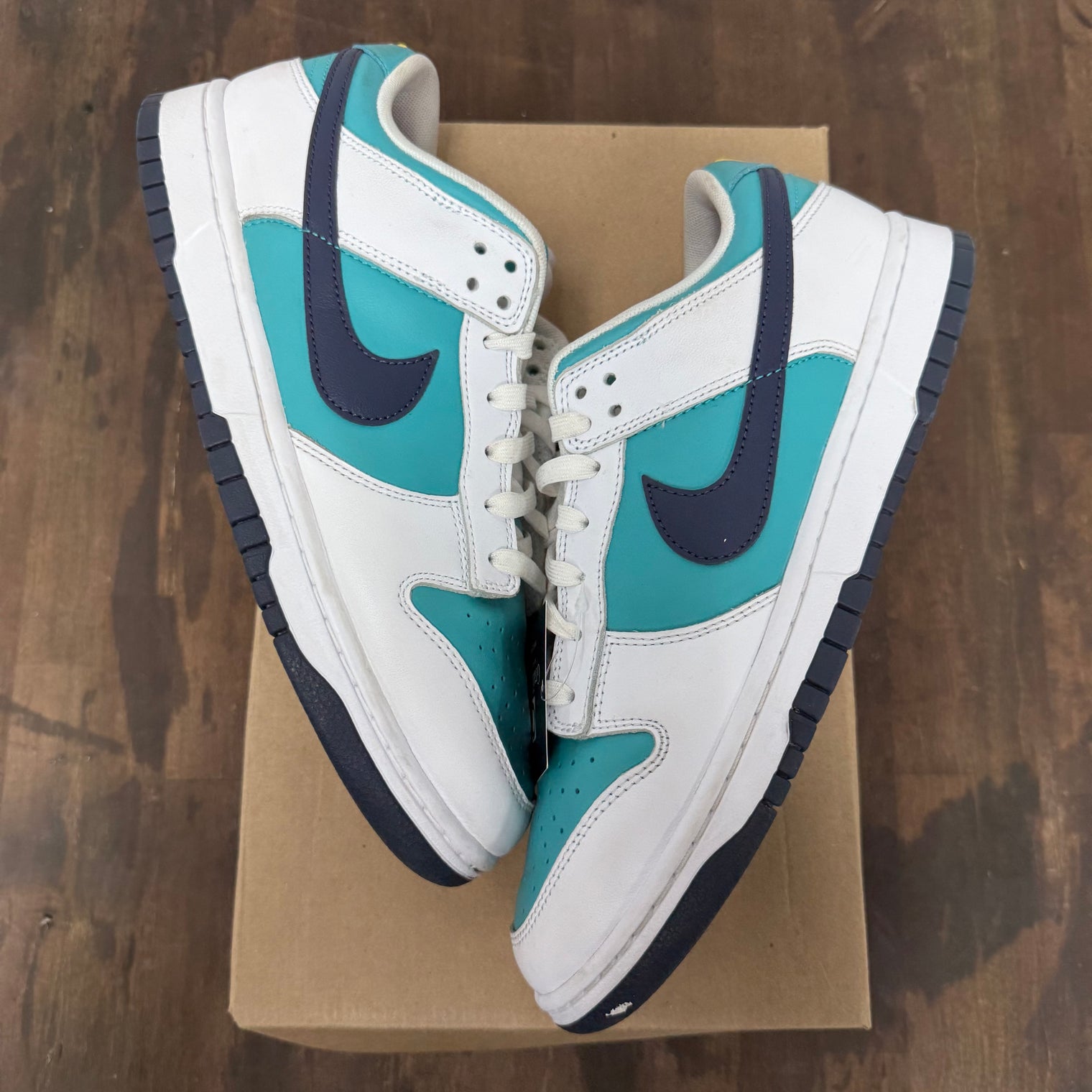 Dusty Cactus Nike Dunk Low (USED,No Box)