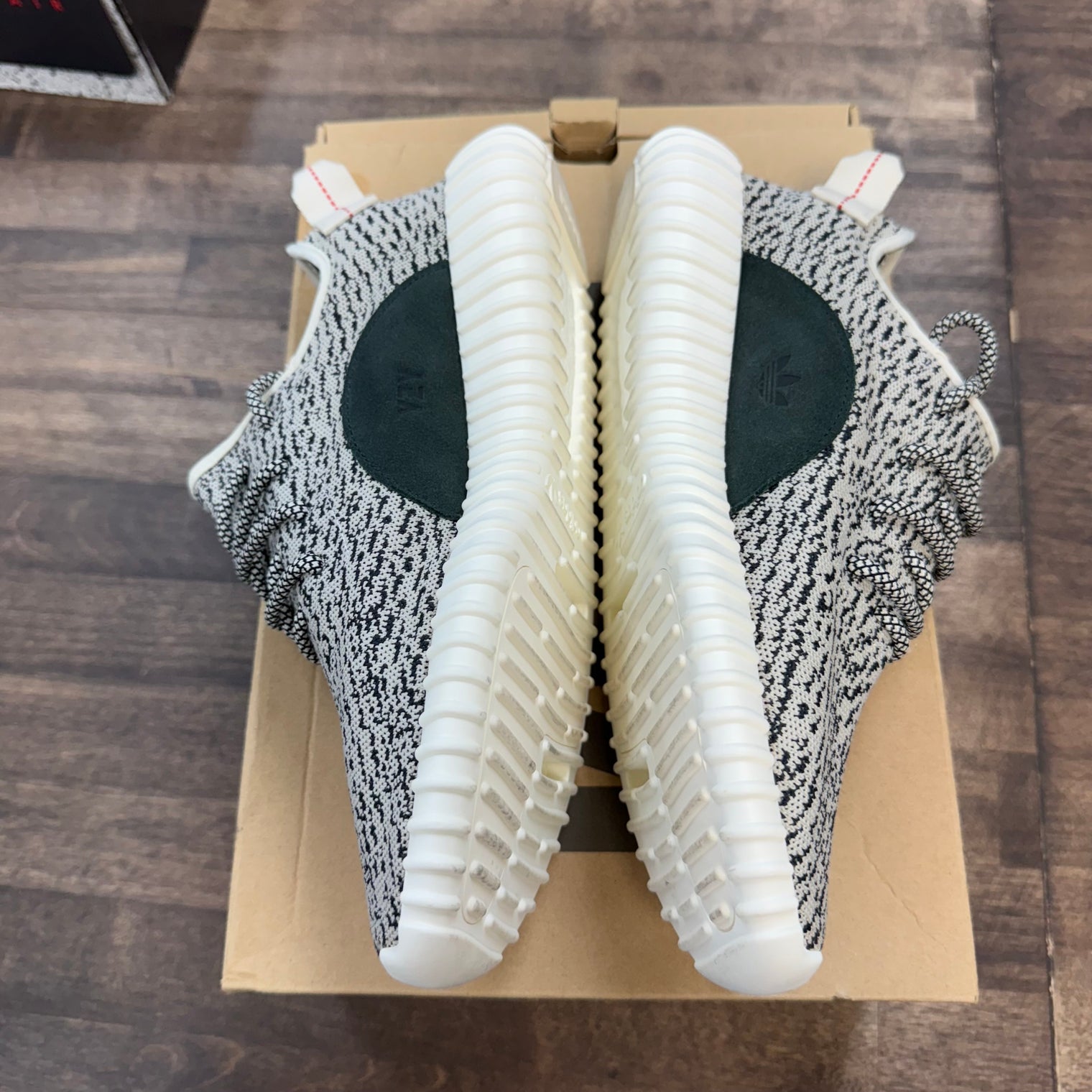 Turtledove Yeezy 350 (Lightly Worn)