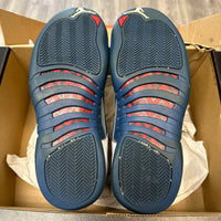 French Blue Jordan 12 (USED)