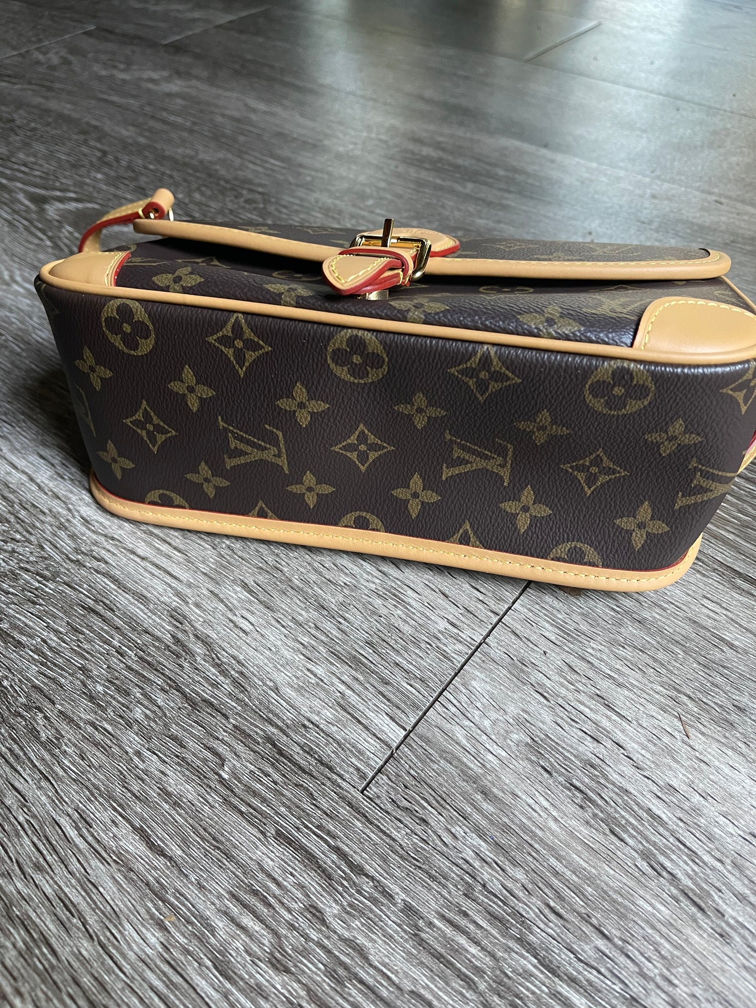 Louis Vuitton Diane Bag (LIKE NEW)