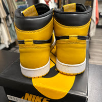 Pollen Jordan 1 High (USED)