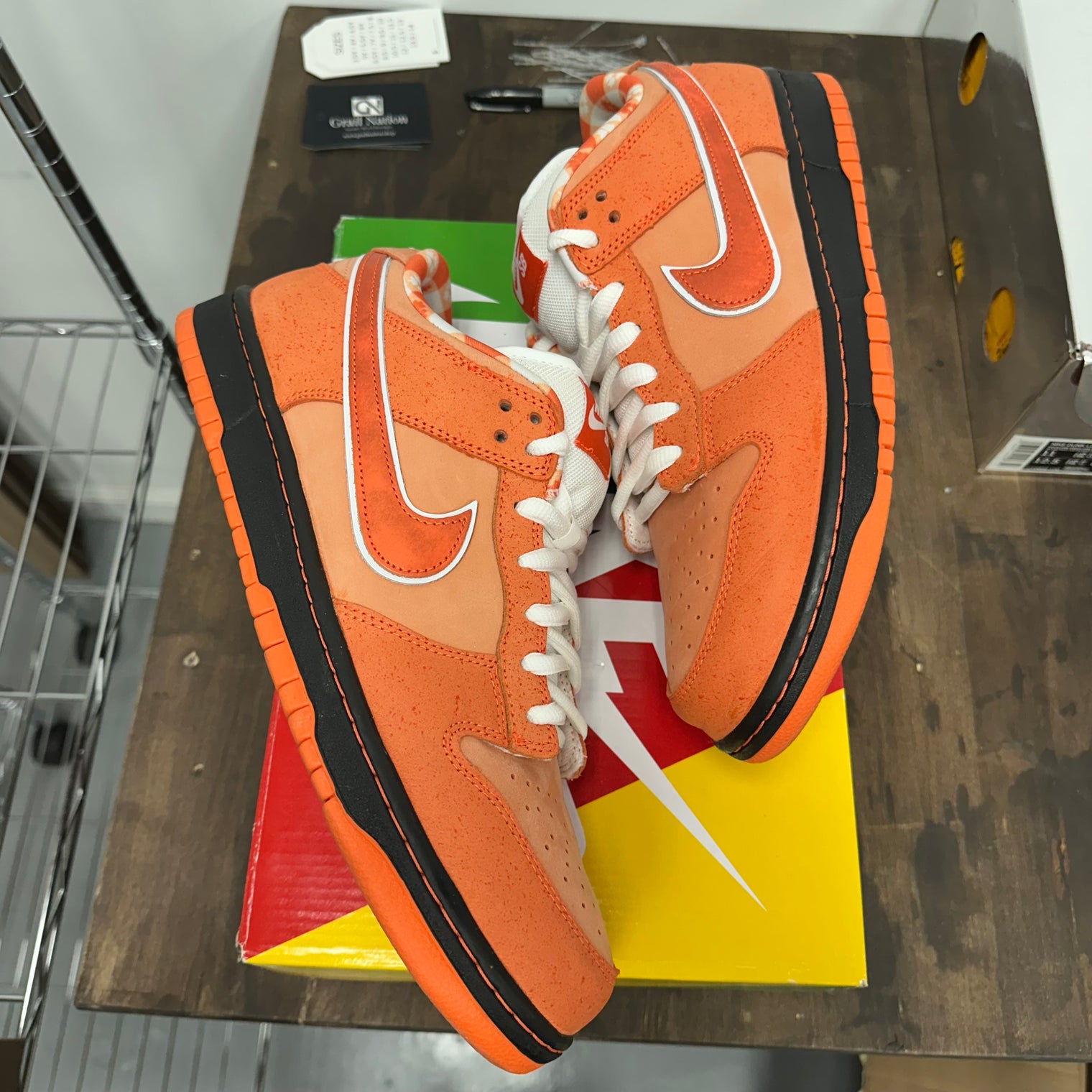 Orange Lobster SB Dunk Low (USED)
