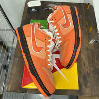 Orange Lobster SB Dunk Low (USED)