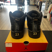 Jordan 12 Retro The Master (USED)
