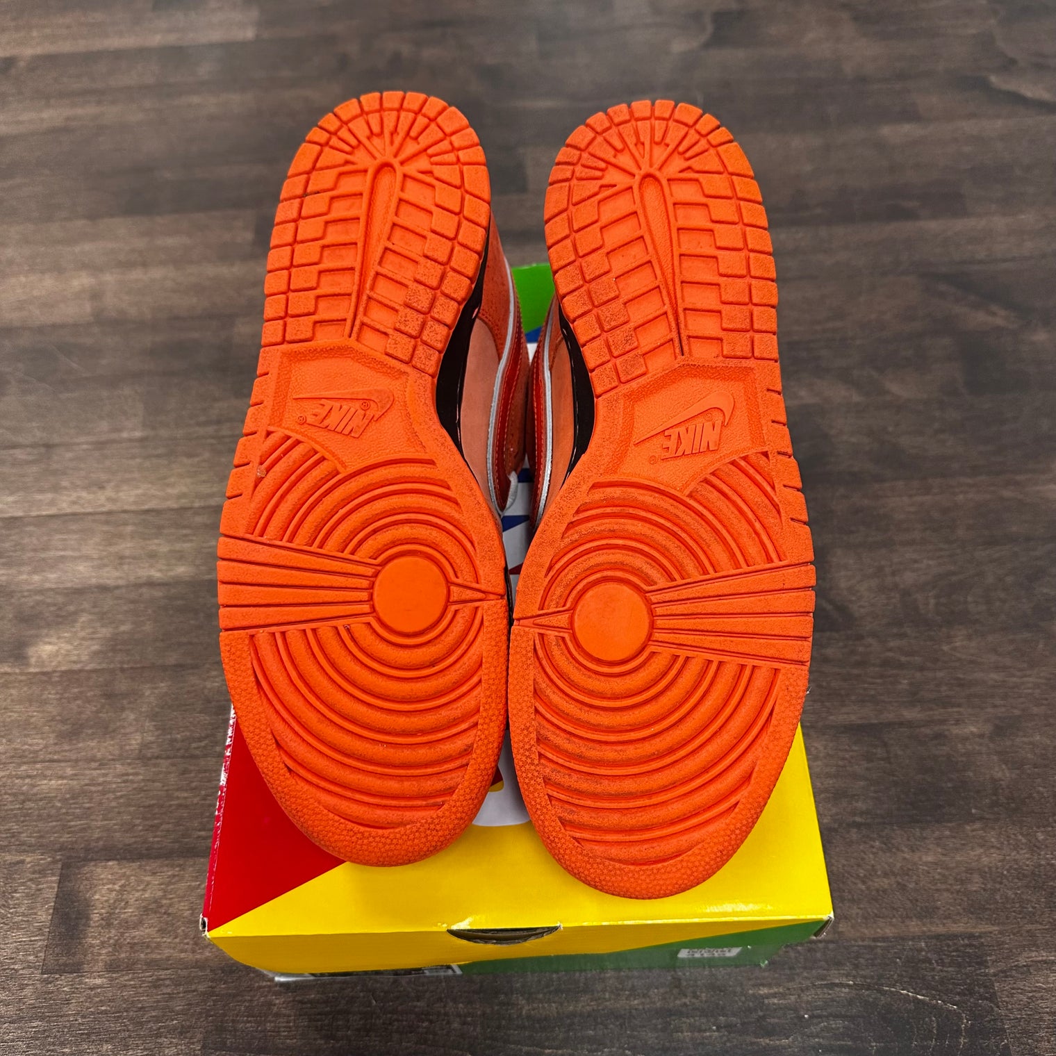 Orange Lobster Nike SB Dunk Low (USED)