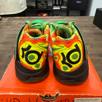 Weatherman Nike KD 4 (2011) (USED)