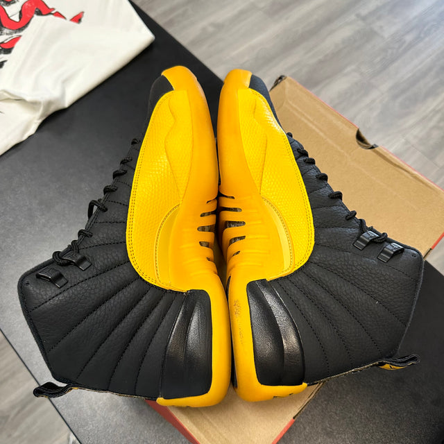 University Gold Jordan 12 Retro (USED)