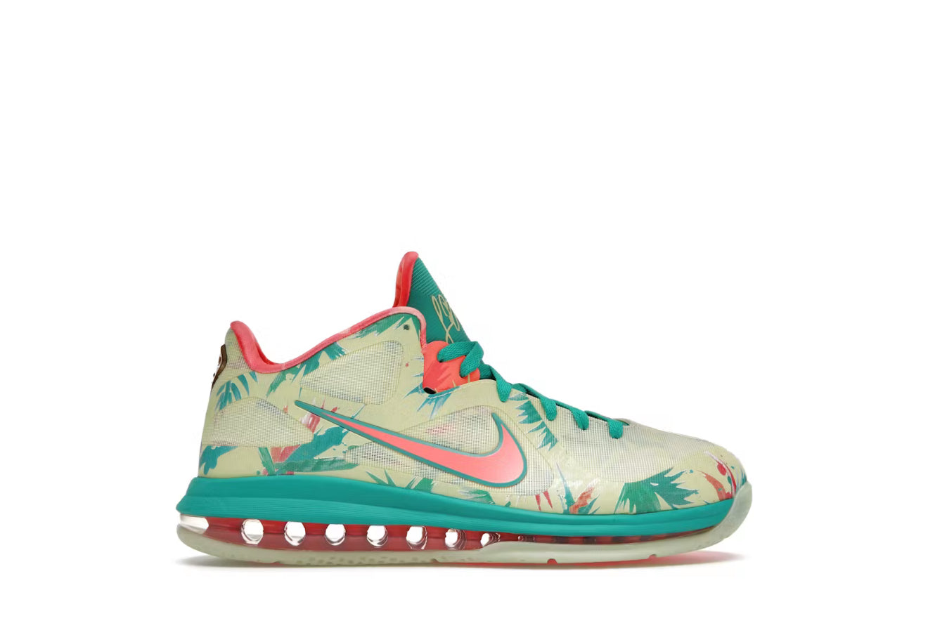 LeBronald Palmer Nike LeBron 9 Low