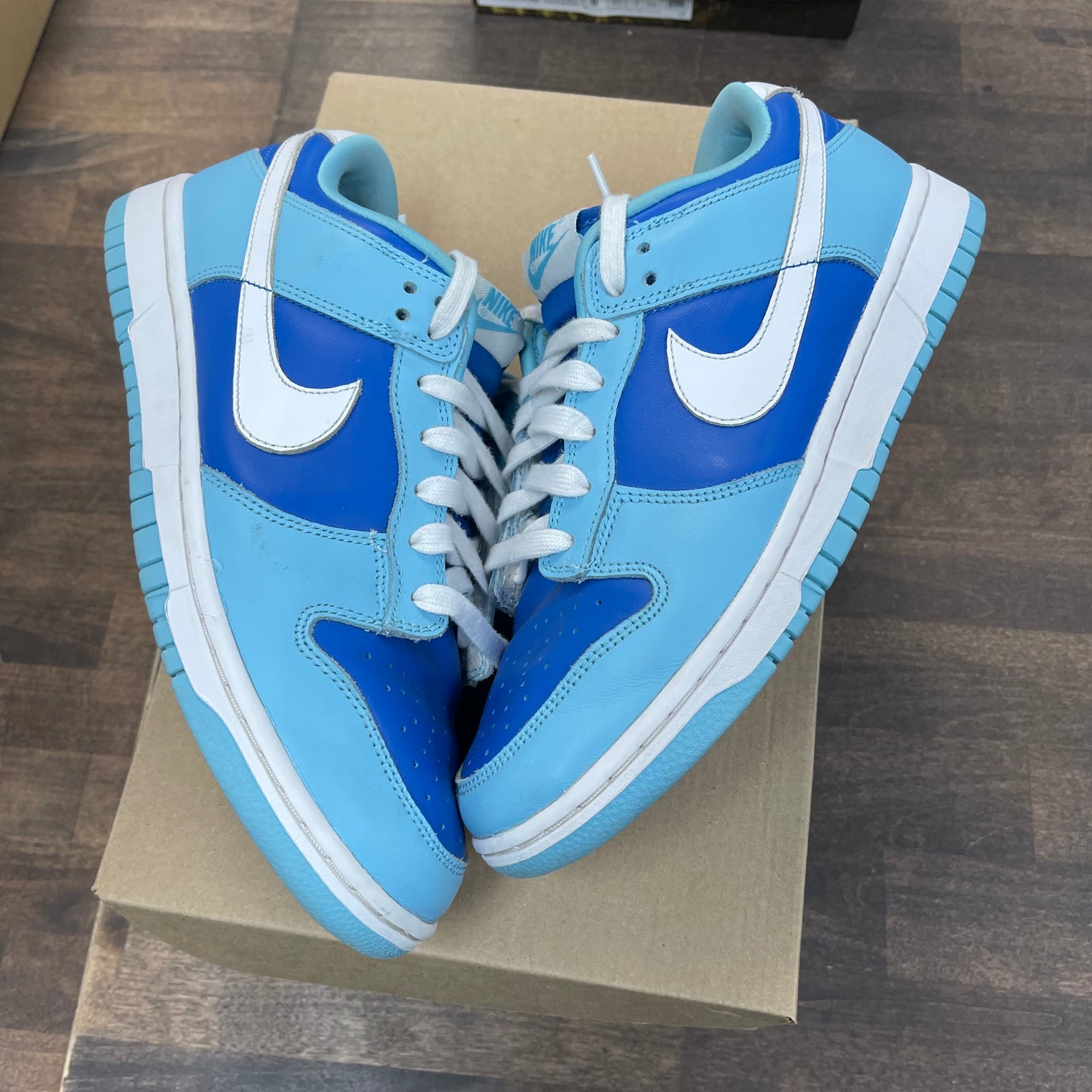 Argon Dunk Low (USED, No Box)