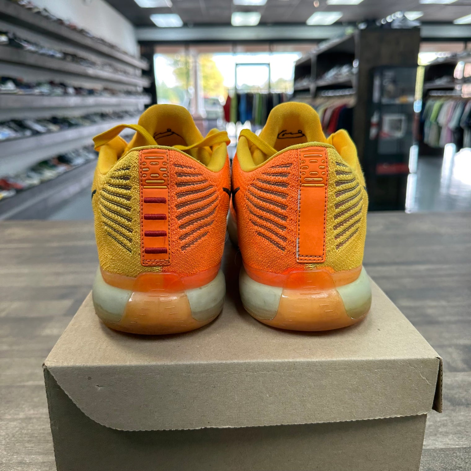 Chester Kobe 10 Elite (USED, No Box, Replacement Insole)