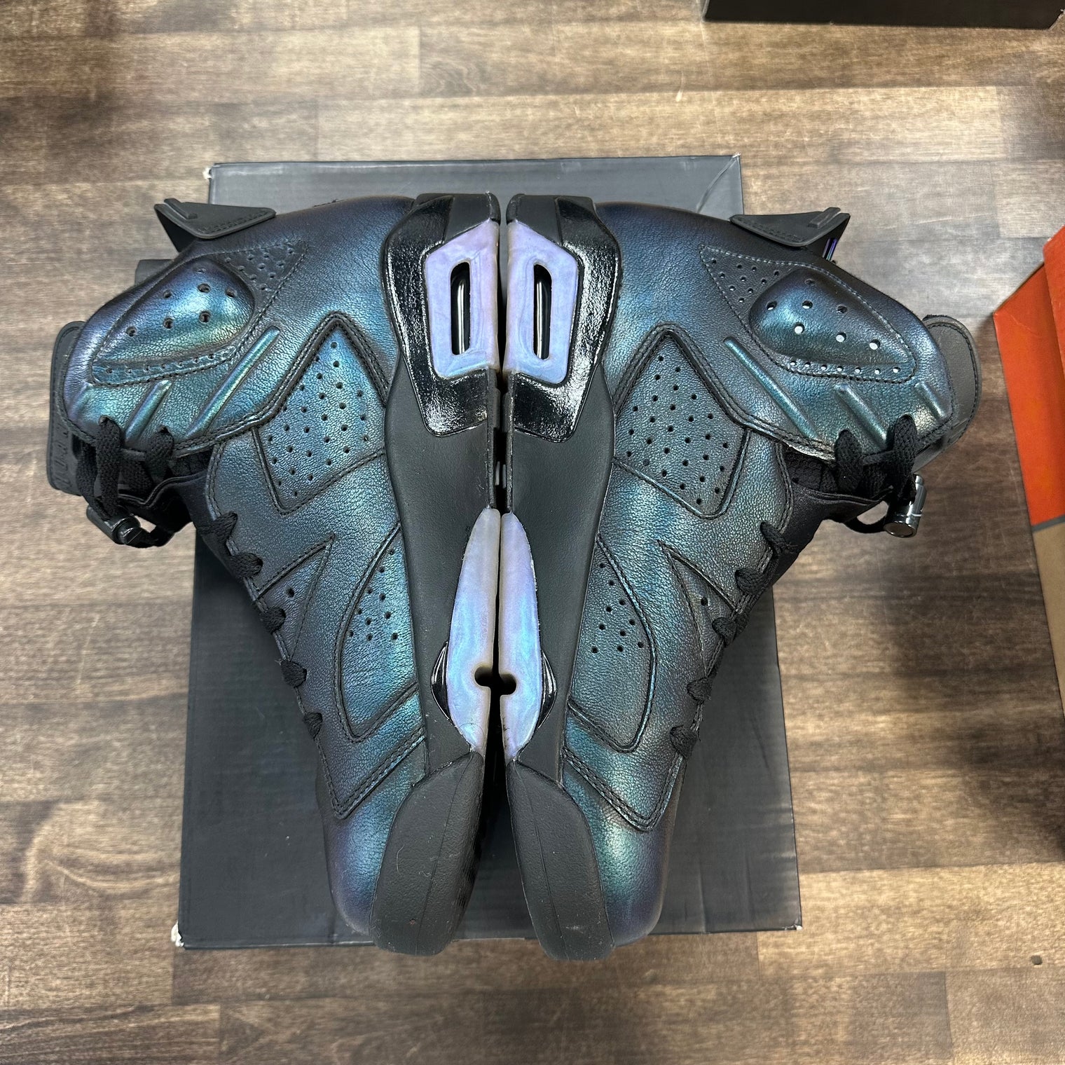 All-Star Chameleon Jordan 6 Retro (Lightly Worn)