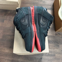 Black Pigeon Staple Nike SB Dunk Low (USED,No Box)