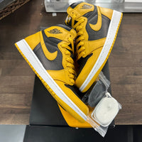 Pollen Jordan 1 High (USED)