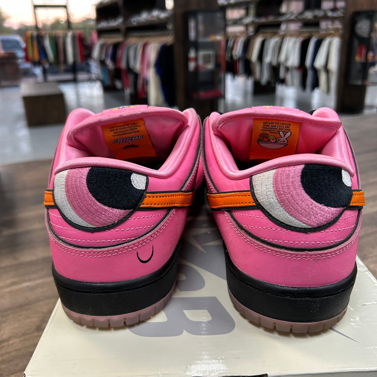 The Powerpuff Girls Blossom SB Dunk Low (USED)