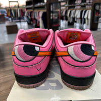 The Powerpuff Girls Blossom SB Dunk Low (USED)