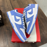 Polar Blue Nike Dunk Low (USED)