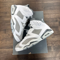 Cool Grey Jordan 6 (Lightly Worn)