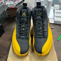 University Gold Jordan 12 (Lightly worn)