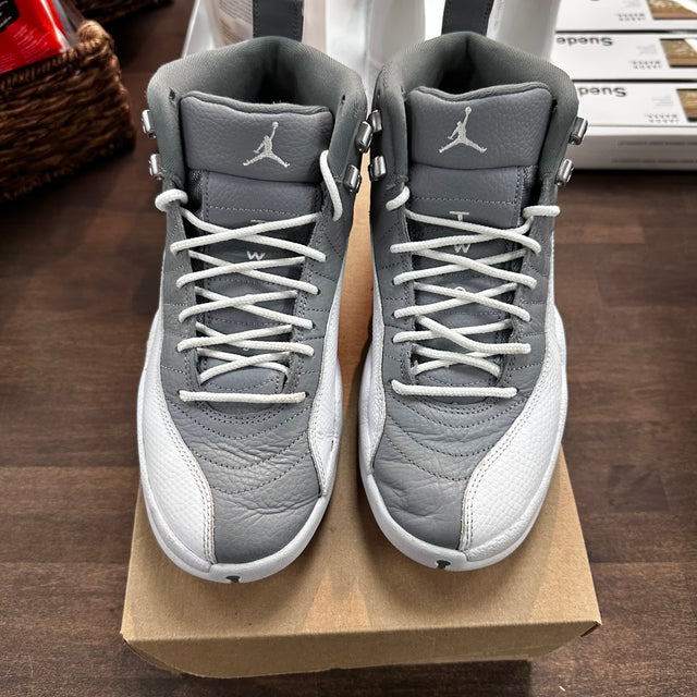 Stealth Jordan 12 (USED,No Box)