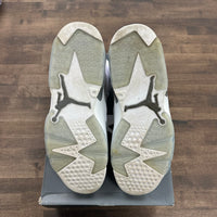 Cool Grey Jordan 6 Retro (USED)