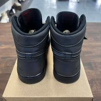 Zoom Fearless Jordan 1 High (USED,NO BOX)