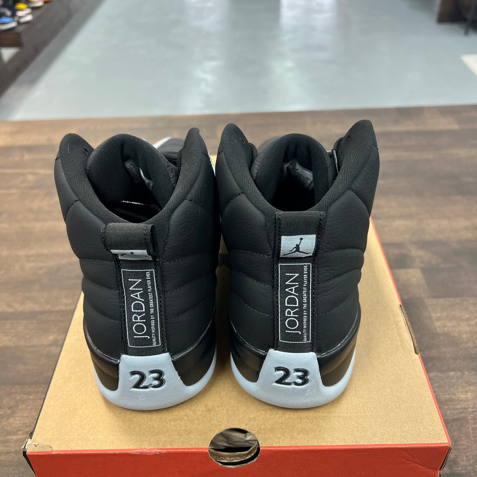 Baron Jordan 12 (USED)