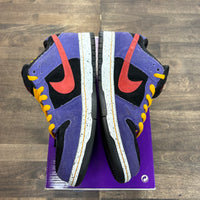 ACG Terra Nike SB Dunk Low (USED,No Box)