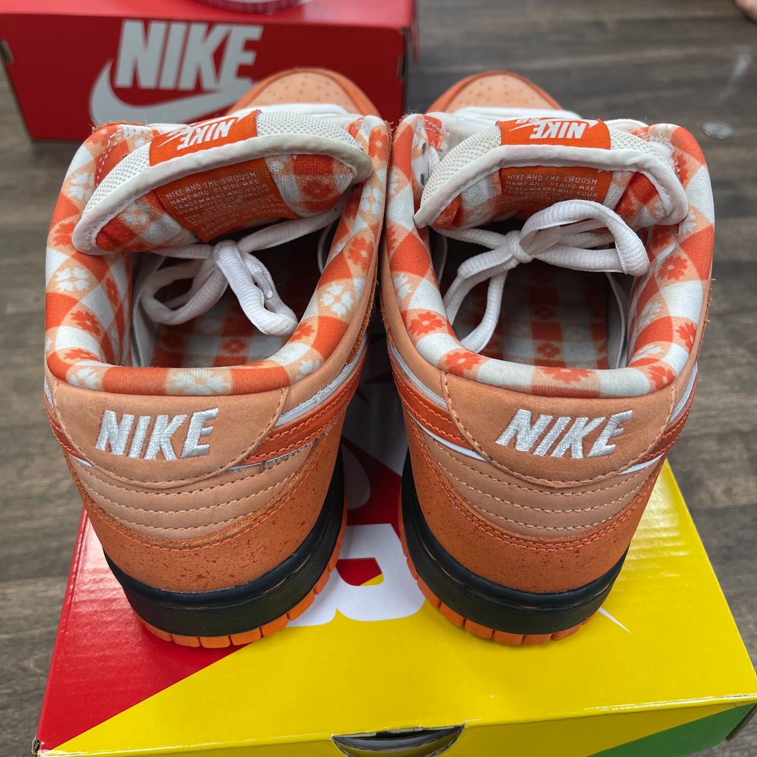 Orange Lobster SB Dunk Low (Special Box) (USED)