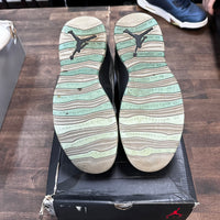 Lady Liberty Jordan 10 (USED,No Box)