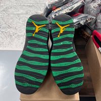Seattle Jordan 10 (USED, No Box)