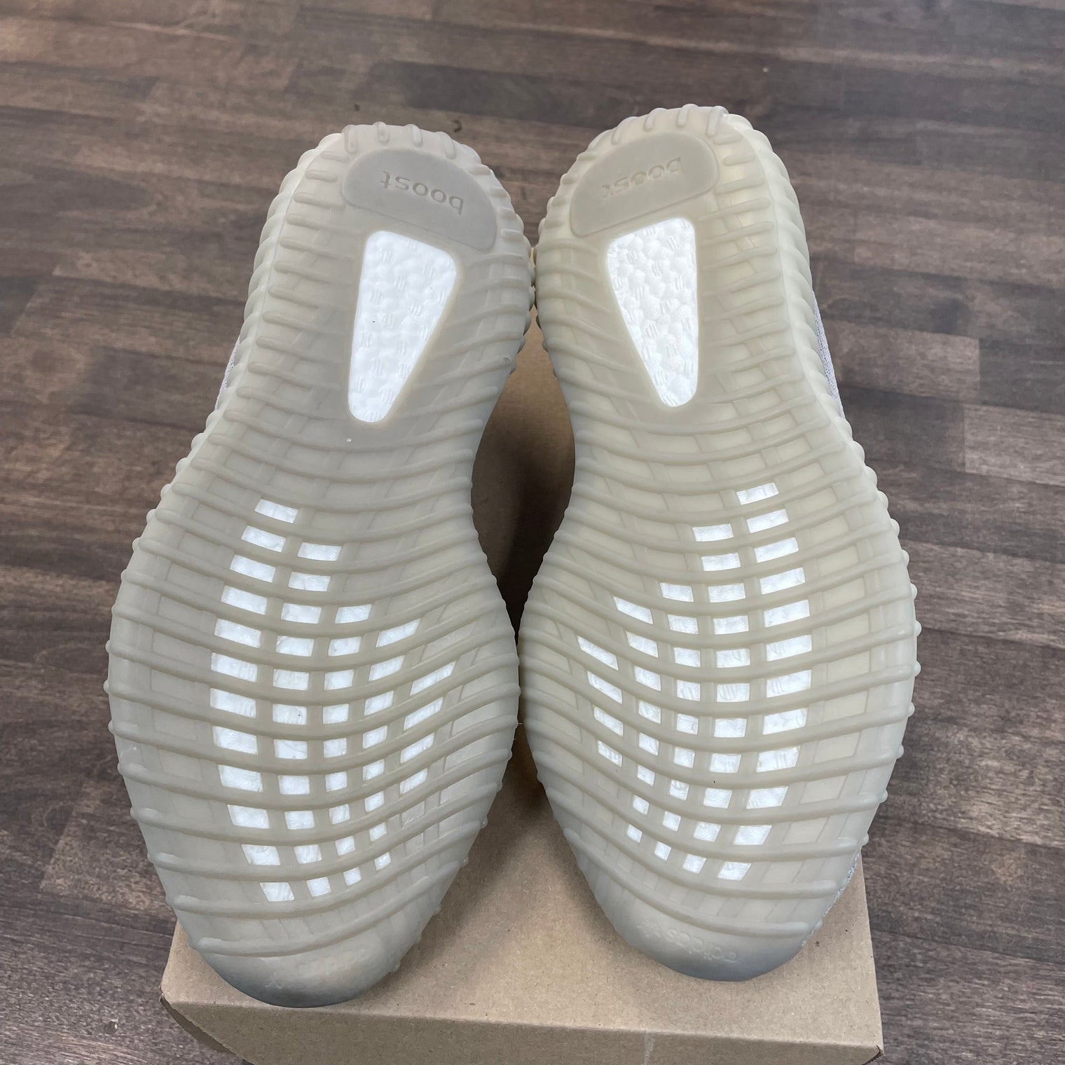 Tail Light Yeezy 350 (USED,No Box)