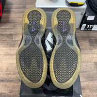 Eggplant Nike Foamposite (2017) (USED)