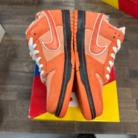Orange Lobster SB Dunk Low (USED)