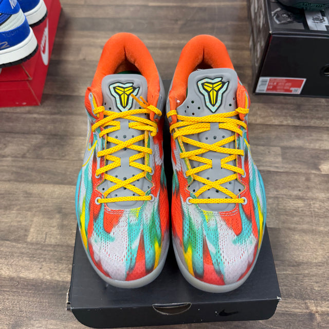 Venice Beach Kobe 8 Protro (USED)