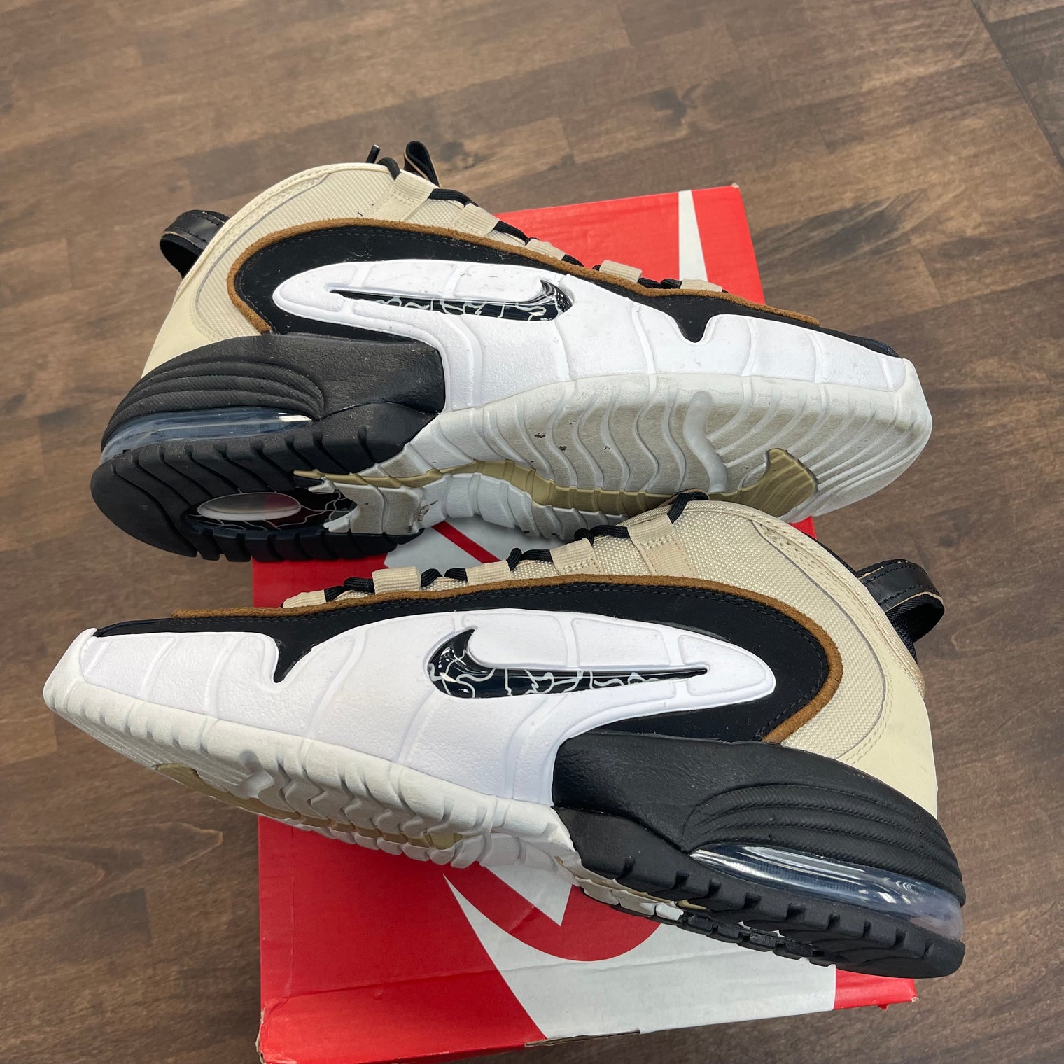 Rattan Nike Air Max Penny (USED)