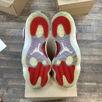Cherry Jordan 11 Retro (USED, No Box)