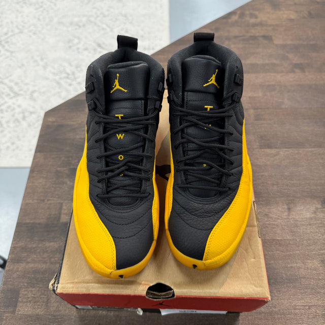 University Gold Jordan 12 Retro (USED)