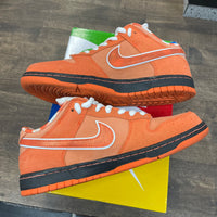Orange Lobster SB Dunk Low (USED)