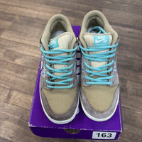 Big Money Saving SB Dunk Low (USED)