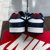 Valerian Nike Dunk Low (USED)
