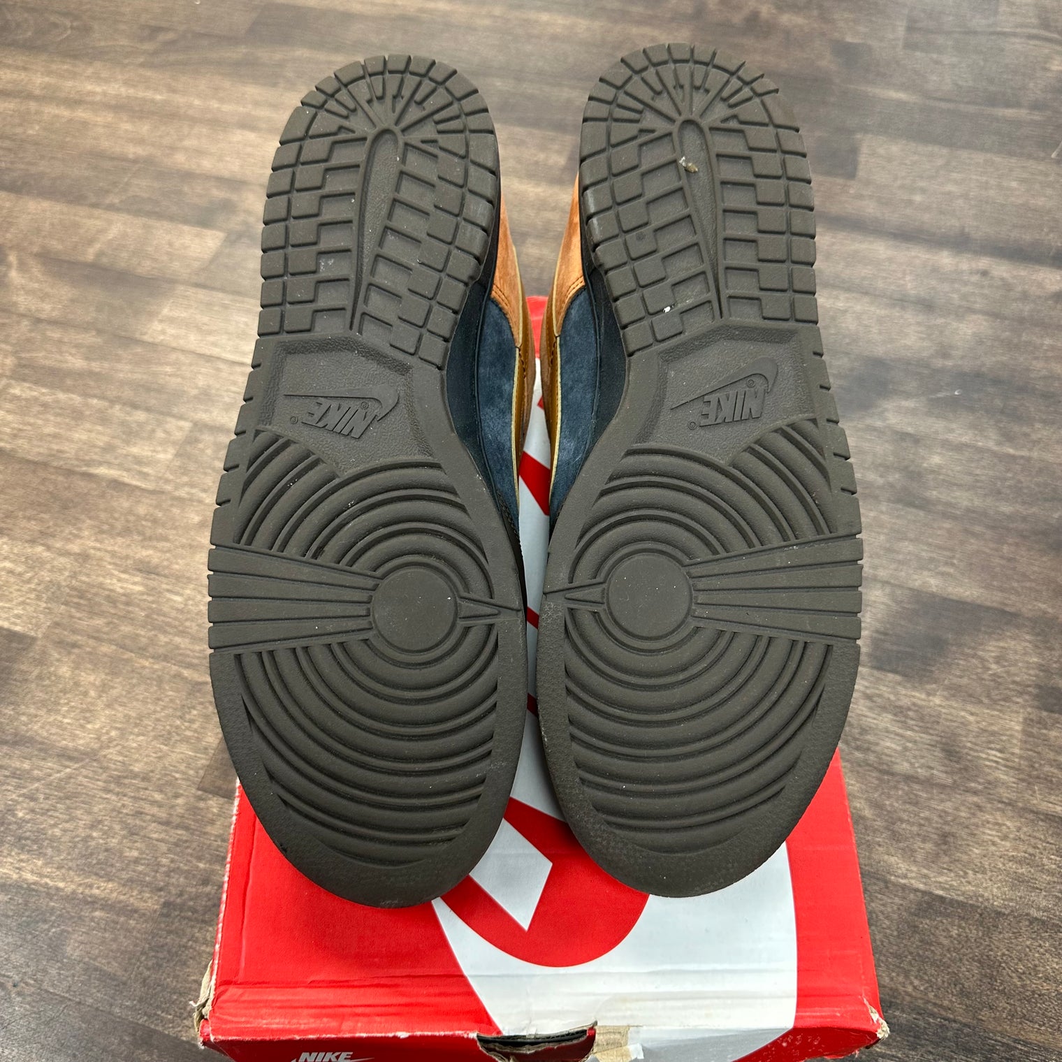 Cider Dunk Low (USED)